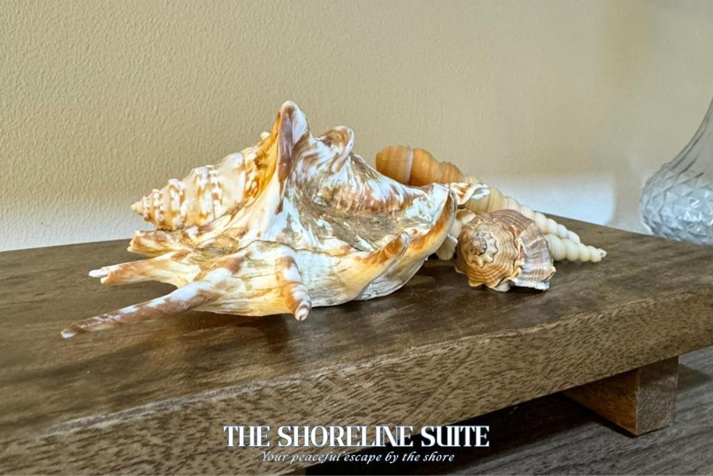 The Shoreline Suite At Shore 3 Residences Moa 帕赛 外观 照片